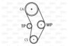 FORD X48OESKDP Water Pump & Timing Belt Kit